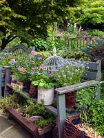 Salavaged containers including a biscuit barrel, tin can, paint tin, baskets and a bird cage are displayed on a wooden bench. Planting includes Lobelia, Pelargoniums and Violas. Underneath a recycled trough is planted with herbs.