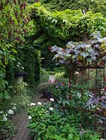Brick and timber pergola, covered in Virginia creeper, leads to woodland garden. Railings support grape vine. Table with pots of sweet peas and gypsophila.