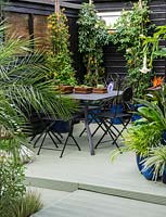 A decked dining area surrounded by containers planted with Datura, Strelitzia, Passiflora