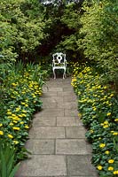 Paved path edged with yellow Doronicum, leading to white metal seat, May