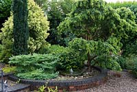 A circular raised brick bed with a small water feature. Planting includes a unusual contorted Ginkgo, Hypericum, columnar yew and spreading conifer.