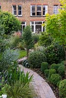 A town garden with curved stone path through borders planted with shaped Buxus, Acer Aureum, Hydrangea, Hosta, Echinops and Stipa grass, Lavandula, Echinacea and Eryngium.