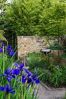 View past blue Iris sibirica 'Caesar's Brother', to ceramic bird bath by Sarah Walton, edged in sisyrinchium and euphorbia, beneath maple. Behind wall, yellow bamboo.