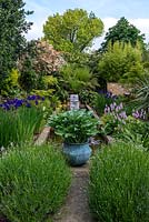 View along the pool, over lavender, potted hosta, Iris sibirica Caesar's Brother, Hakonechloa macra and pink Persicaria bistorta Superba and male ferns. Left border - bamboo, Koelreuteria paniculata, maple, photinia. Right border - phormium and maple. Pond sculpture by Peter Hayes.