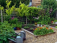 The vegetable garden growing potatoes, carrots, onions, runner beans, salad leaves and herbs, with calendula to attract beneficial insects.
