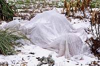 Protection in winter, horticultural fleece covering border of perennials during snow, January
