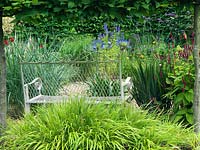 An ornate metal seat under a pleached hornbeam hedge that frames a view of a gravel garden. Verbena bonariensis, Agapanthus, Persicaria, Agastache and Crocosmia are planted.