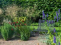 Pleached hornbeam behind a bench in gravel garden planted with Crocosmia 'Hellfire', Agastache 'Black Adder', Veronicastrum 'Pink Glow', Digitalis laevigata and Stipa gigantea 'Gold Fontaene'.