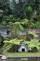 The lush vegetation fringing the Central Lake at Monte Palace Tropical Garden, Madeira, with tree ferns, and a decorative duck house