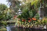 Clivia miniata around the pond in the Oriental garden at Monte Palace Tropical Garden, Madeira, with Japanese pagodas and lanterns