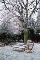 Frosty garden with wooden table and chairs beneath fagus - beech tree on lawn, december 