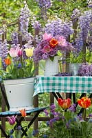 Outdoor spring display. Flowering Wisteria. Jug of tulips and syringa. Tulips and muscari in buckets.