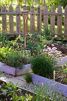 Vegetable garden with raised beds in spring.