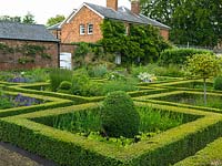In walled garden, potager of box-edged beds filled with flowers, topiary and vegetables. Near beds: beans, onions, box, hardy geranium, holly standard, grasses.