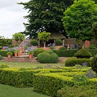 Box parterres, filled with lavender, amongst huge yew topiary pieces created over 20 years. Raised terrace with pots of agapanthus and citrus fruits. 