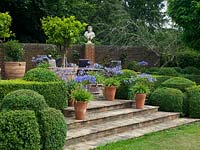 Raised terrace with pots of agapanthus and citrus fruits. Large box topiary and hedges.