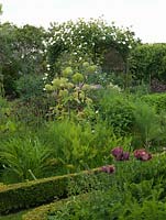 Herb Garden, a jumble of perennials and herbs in 4 box edged beds. Gazebo clad in Rosa Mdme Alfred Carriere, seen over poppies, cirsium, thalictrum, fennel, angelica.