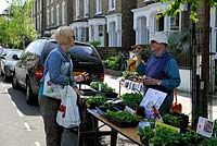 Woman chatting and buying plants from community plant stall in street. Wilberforce Road Gardeners plant sale, London