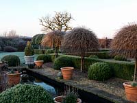 A formal pool flanked by box balls, terracotta pots and domed willows, Salix caprea 'Kilmarnock'