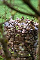Basket of stones as home or refuge for small creatures, topped with sempervivum