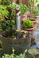 Paved courtyard with pots and wooden barrel used as a water feature.
