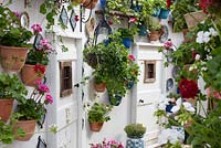 An Andalusian Moment, Best Show Garden, Malvern Spring Gardening Show 2015. Colourful pelargoniums in pots on the white washed walls