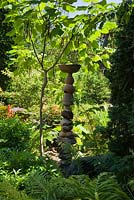 Stacked rocks and ceramic pots sculpture next to Catalpa bungei - Manchurian Catalpa tree and Pteridophyta in private backyard garden in summer