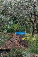 A Perfumer's Garden in Grasse. View of table and chairs under olives trees - Olea europaea amongst wild flowers