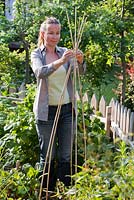 Sweet pea wigwam support - Binding Miscanthus bamboo poles together near the top