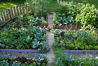 Kitchen garden with raised beds and paths.