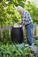 Man filling bucket from water butt with a ready-to-use insecticide or fertilizer solution, made from water and nettles steeping for at least 24 hours