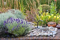 Small water feature. Planting includes Lavandula 'Peter Pan', Oenothera missouriensis, Sedum 'Matrona', Buxus topiary and in pots Echeveria and Sempervivums
