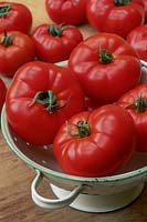Tomato king kong no2 - beefsteak, red fruit in enamel colander