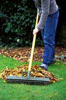 Woman sweeping leaves from lawn with rubber toothed broom, autumn