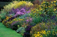 Blue and yellow autumn border with helianthus, aster, solidago, heliotrope, salvia
