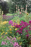 Mixed hot summer border with Monarda, Achillea, Helianthus, Phlox, Echinacea. July. Marlas garden, Howell, Michigan USA