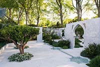 View of citrus nobilis trees, thymus vulgaris and palm Bismarckia nobilis planted in white marble area with water feature and walls with arabic style arches against olive hedge - Olea europaea. The Beauty of Islam.  Chelsea Flower Show 2015