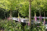 Garden bench made from slate, Digitalis purpurea - common Foxglove -  Brewin Dolphin show garden, RHS Chelsea Flower Show, 2015