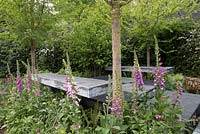 Garden bench made from slate and slate patio, Digitalis purpurea - common Foxglove - The Brewin Dolphin Garden - RHS Chelsea Flower Show, 2015