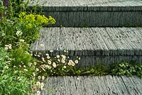 Hand-cut slate steps with planting including Salvia x sylvestris 'Mainacht', Euphorbia amygdaloides var. Robbiae, Erigeron karvinskianus, ferns. The Brewin Dolphin Garden. RHS Chelsea Flower Show, 2015