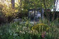 View of the  modern glass summer house and seating area surrounded by Geranium phaeum 'Album', Astrantia major 'Claret', ornamental grasses Deschampsia flexuosa, Deschampsia caespitosa, Briza media, Taxus baccata topiary ball and the tree Amelanchier lamarckii - snowy mespilus. The Cloudy Bay and Bord na Mona garden, Chelsea Flower Show 2015

