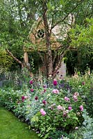 The M and G Garden - The Retreat. View of the two storey oak framed building and flowerbed with Rosa 'Louise Odier', 'Comte de Chambord', Rosa 'Nuits de Young', Rosa 'Chianti', Salvia nemorosa 'Caradonna' and Digitalis purpurea 'Sutton's Apricot' 