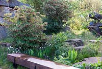 The Laurent-Perrier Chatsworth Garden. Naturalistic recreation of Trout stream and Paxton's rockery. Rosa canina, Narcissus and Enkianthus campanulatus.