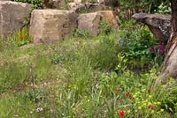 Naturalism of Chatsworth and the wilder side of gardening, depicting the trout stream and Paxton's rockery -  The Laurent Perrier Chatsworth Garden. RHS Chelsea Flower Show, 2015