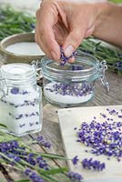 Adding the flowers of Lavandula angustifolia 'Hidcote' to a glass jar of sugar