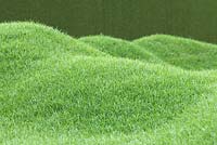 Curved lawn