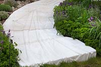 White stone path between borders of herbs. The Evaders Garden, RHS Chelsea Flower Show, 2015
