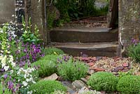Detail of stone steps with broken tiles and ground cover planting, including Lavandula stoechas cvs - butterfly lavender, thyme, Digitalis purpurea f. albiflora - white foxgloves, rosemary and Lychnis flos-cuculi - white ragged robin. 