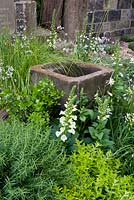 Cottage garden planting with stone sink. Foxgloves and stone wall. The Evaders Garden   RHS Chelsea Flower Show, 2015