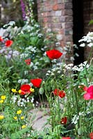 The Old Forge, view of wild flowers Papaver rhoeas, Anthriscus sylvestris, - Cow parsley, wild chervil, Ranunculus acris. RHS Chelsea Flower Show 